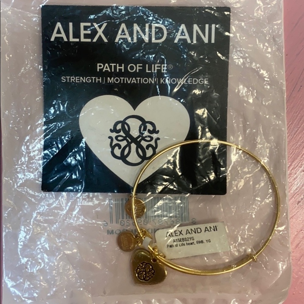 Alex and Ani Bracelet New